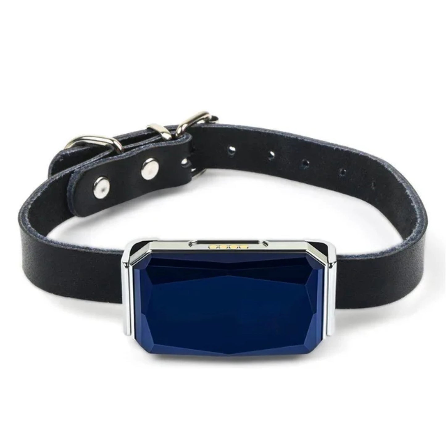 GPS Tracker IP67 Waterproof USB Charging Dog Collar