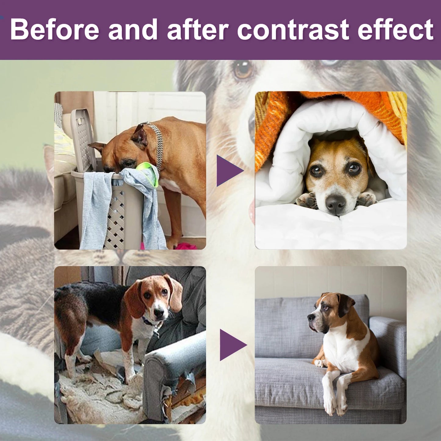 Spray Bitterness Anti Dog Chew Prevention Liquid