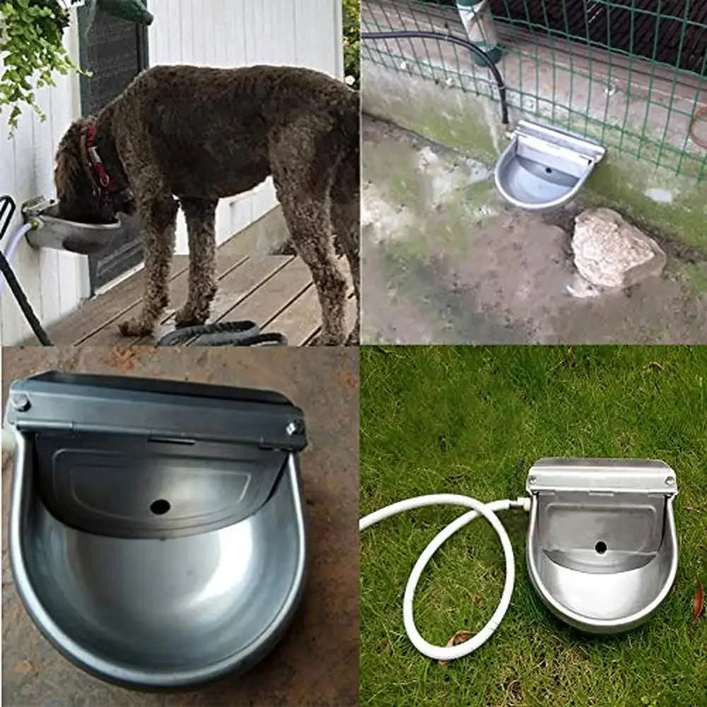 Stainless Steel Water Feeder Bowl with Float Control