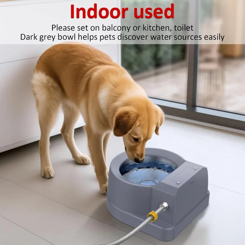 Dog Water Fountain Auto Filling Water Dispenser
