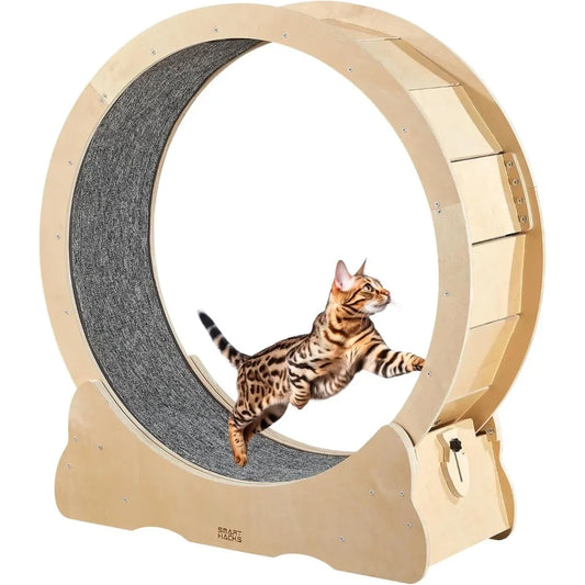 Cat Exerciser Running Wheel for Large Cats
