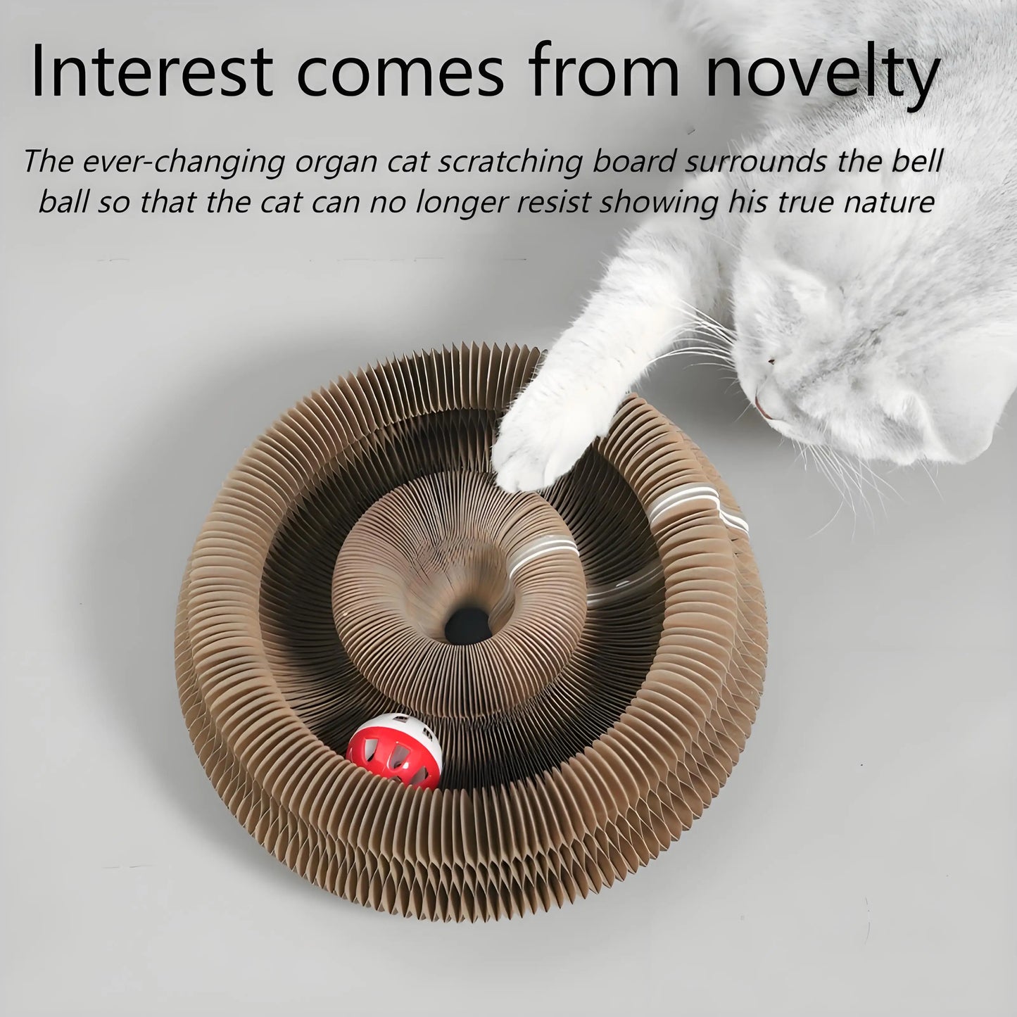 Cat Scratching Board with Bell