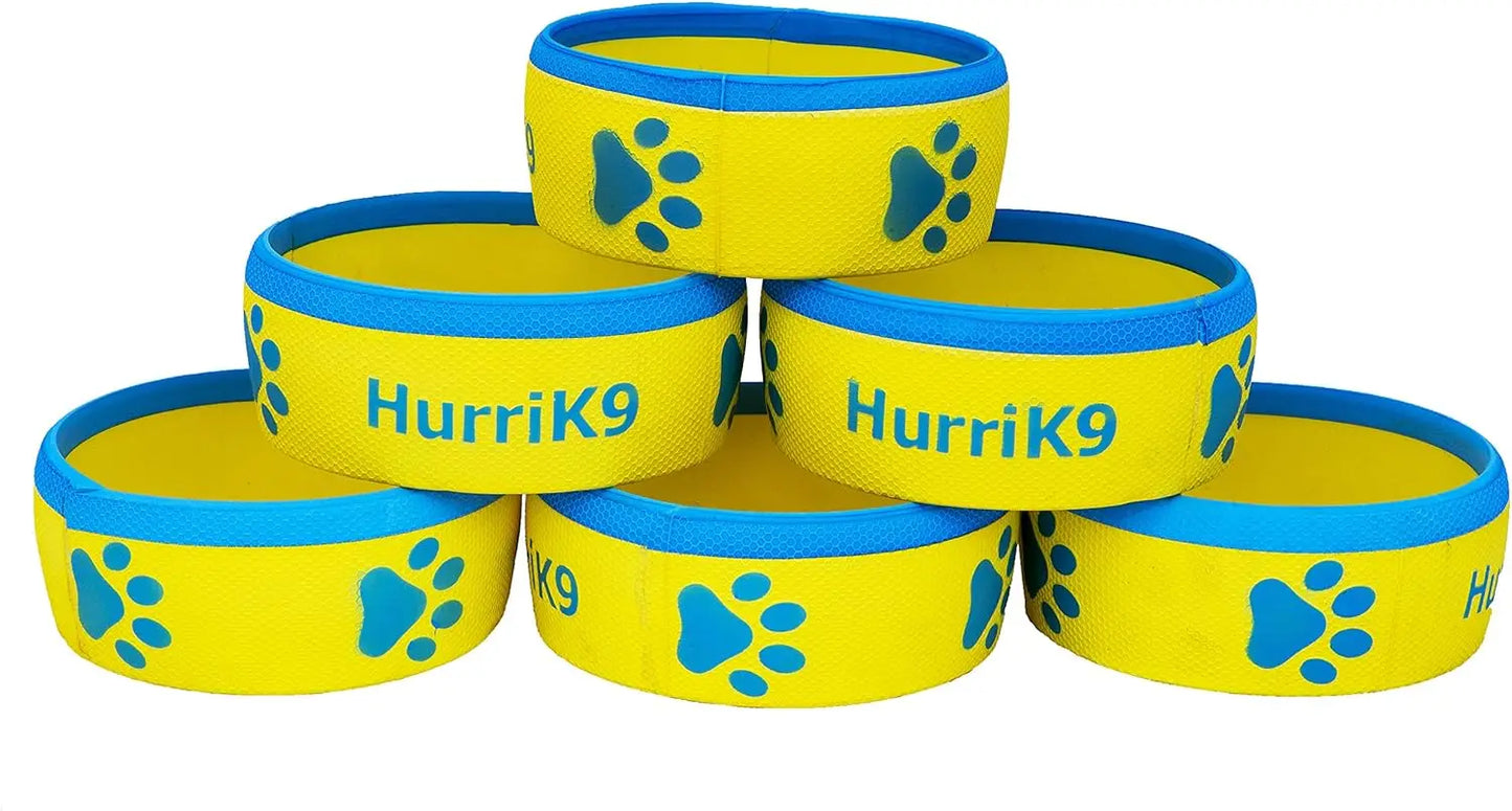 Flying Ring Launcher Dog Exerciser Starter Pack