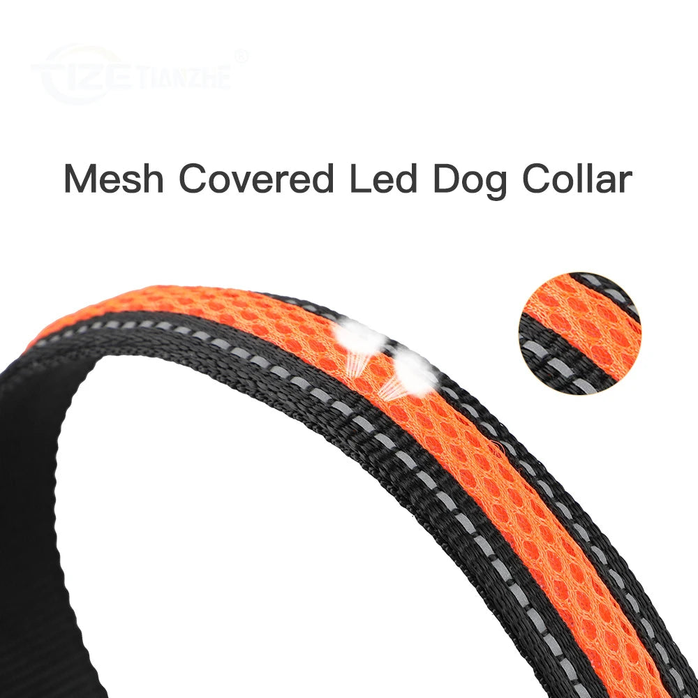 Nylon Dog Collar Flash Night Safety LED Glow