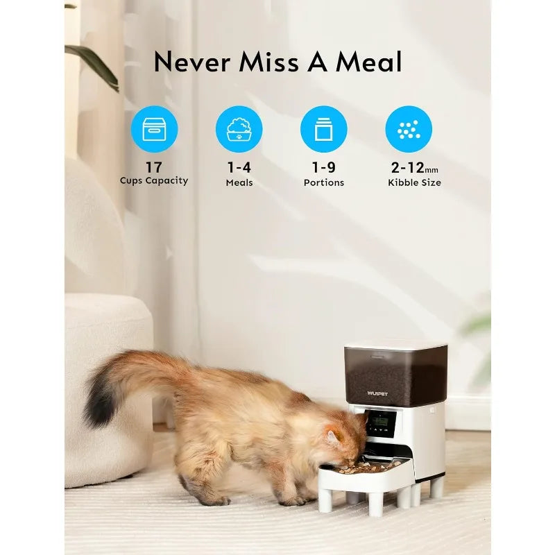 Elevated Automatic Dry Food Dispenser for Cats/ Dogs