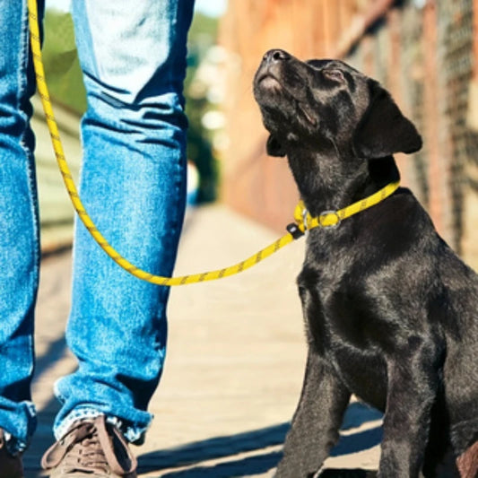 2PC Rope Dog Leash 5 FT with Comfortable Padded Handle