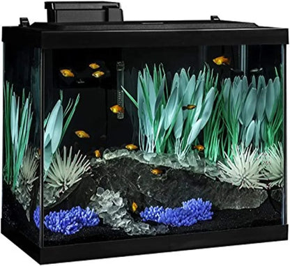 Aquarium 20 Gallon Fish Tank Kit,