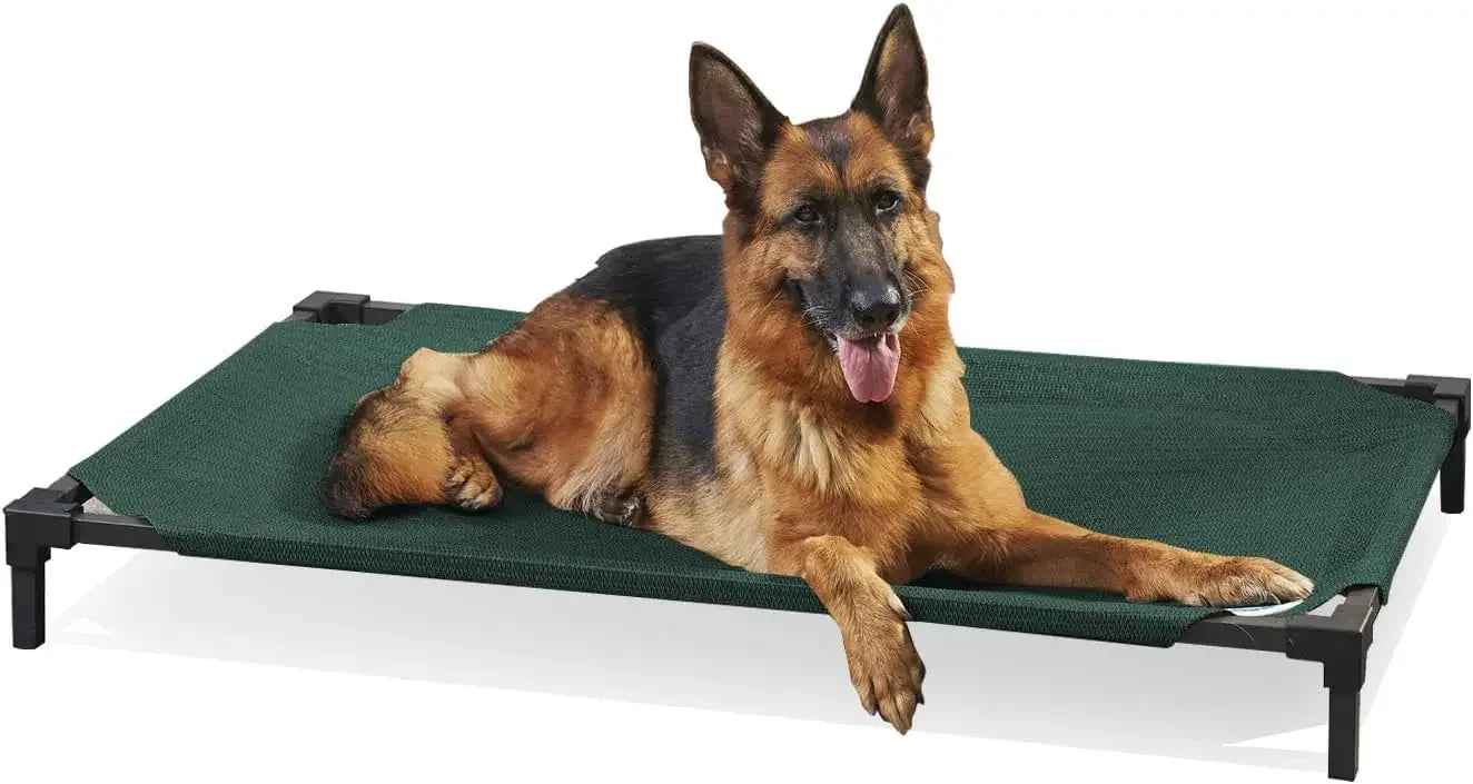 Cooling Elevated Dog Bed PRO Standard