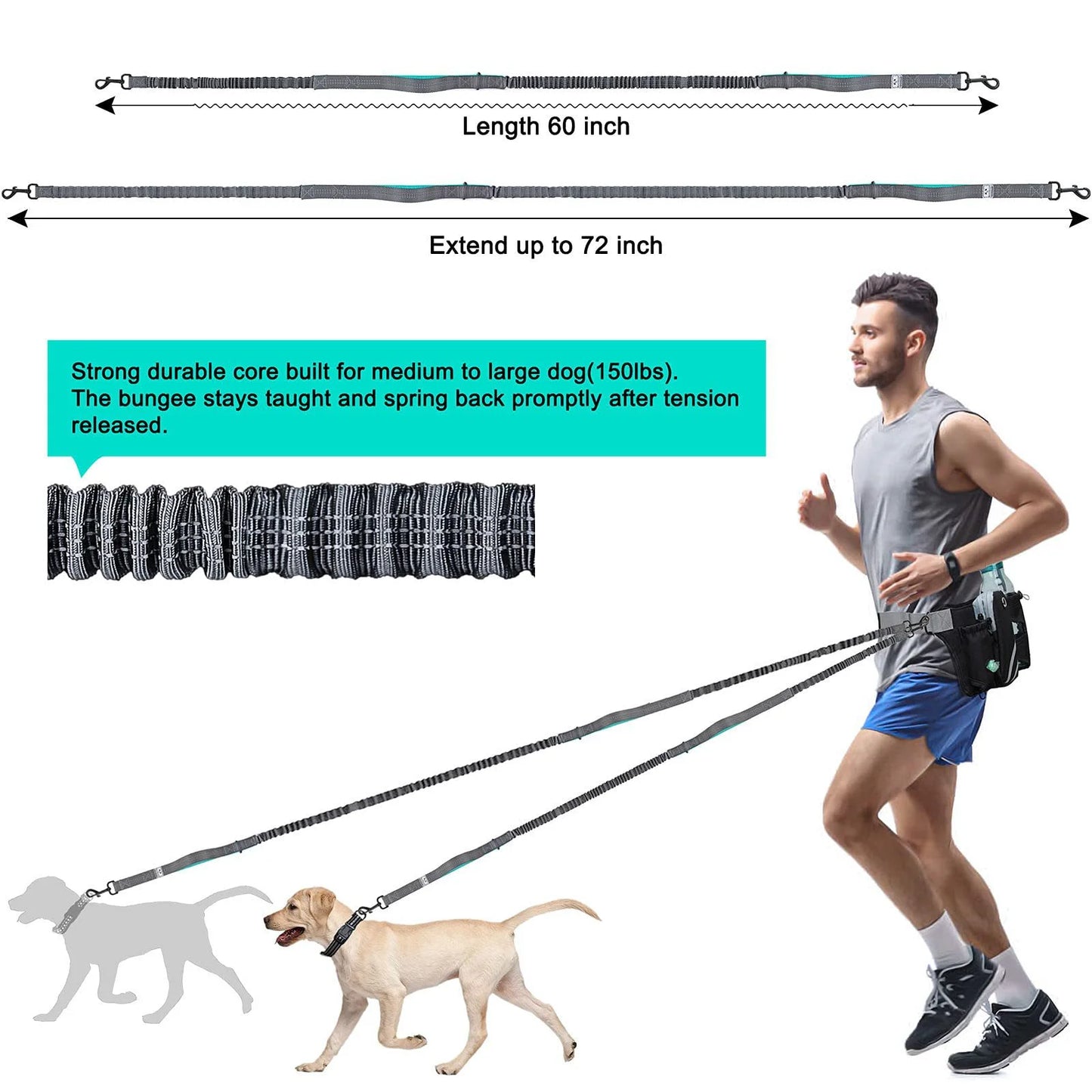 Retractable Hands-Free Dog Leash for 1/ 2 Dogs