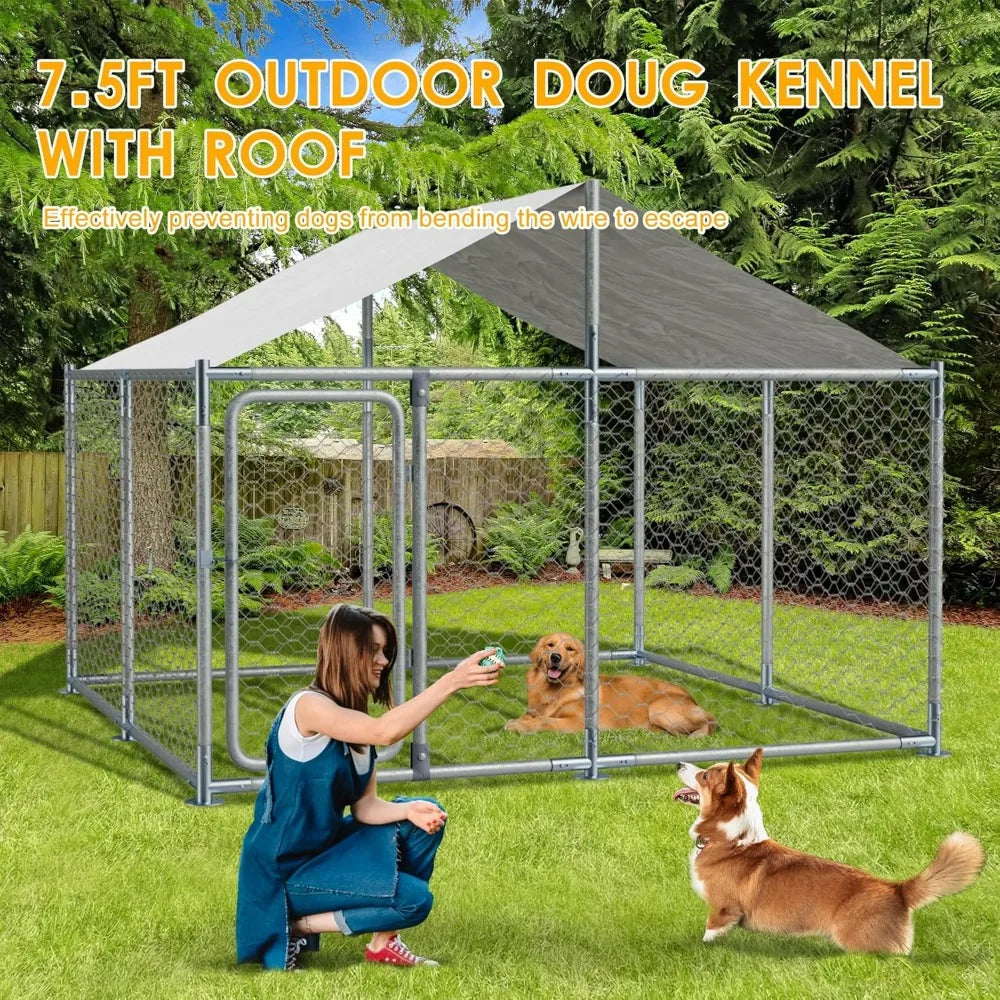 Large Outdoor Dog Kennel with Roof