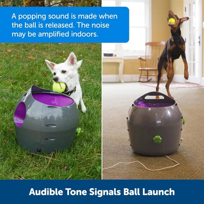 Automatic Ball Launcher, Interactive Dog Toy