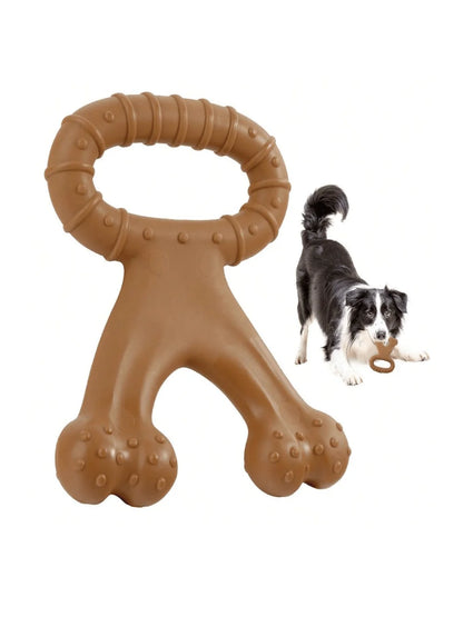 Coral Shaped Molar Chew Toy