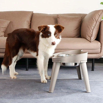 Stainless Steel Elevated Dog Bowl