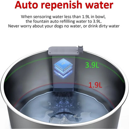 Dog Water Fountain Auto Filling Water Dispenser