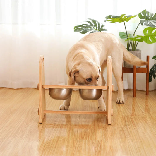 Adjustable Heights Raised Dog Feeder Bowl Stand