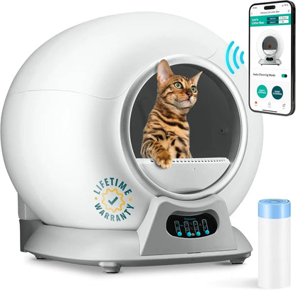 Litter Box Automatic Cleaning