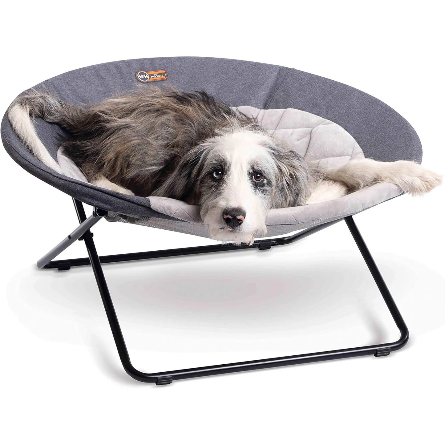 Elevated Pet Bed, Dish Chair for Dogs and Cats