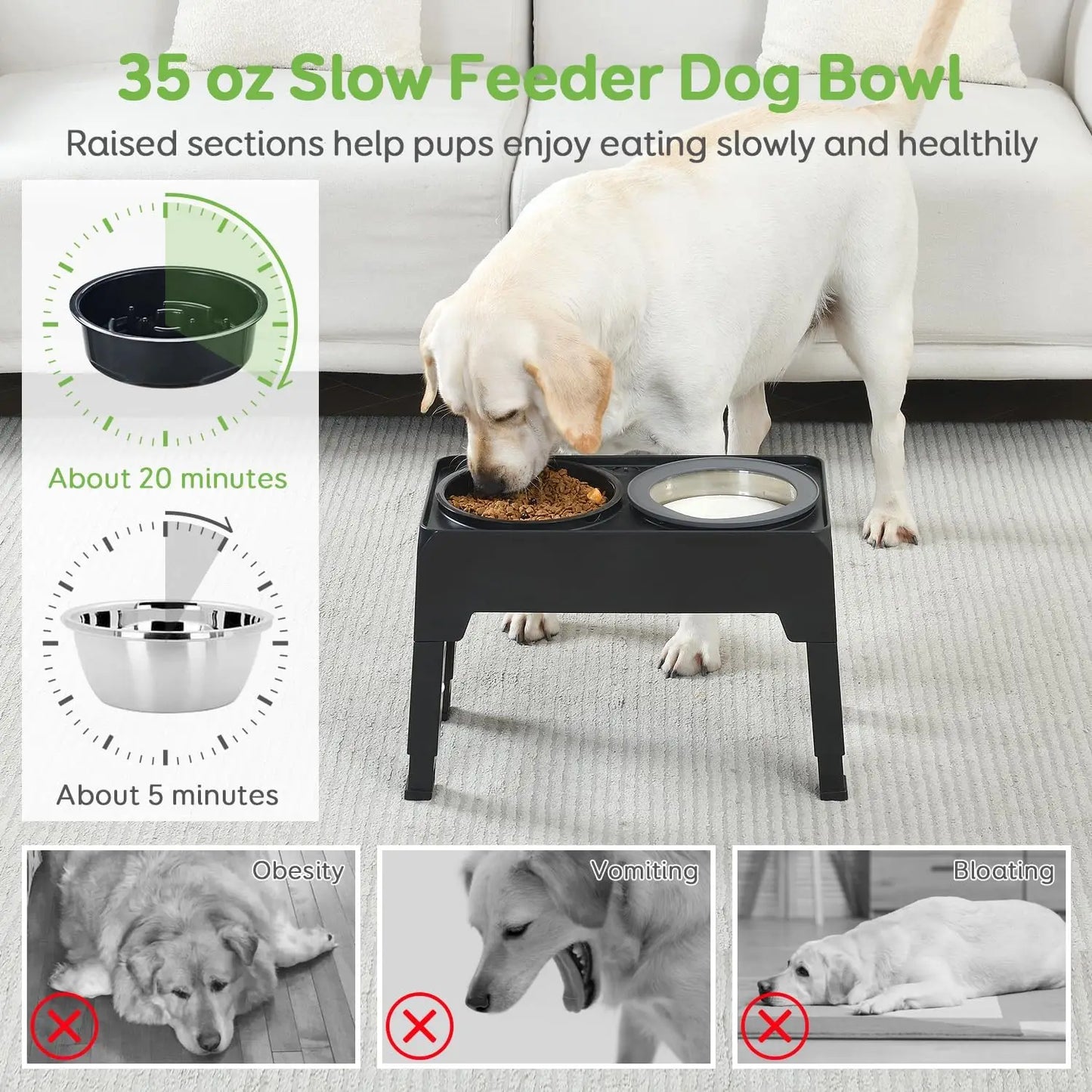 Adjustable Raised Feeder With Double Stainless Bowls