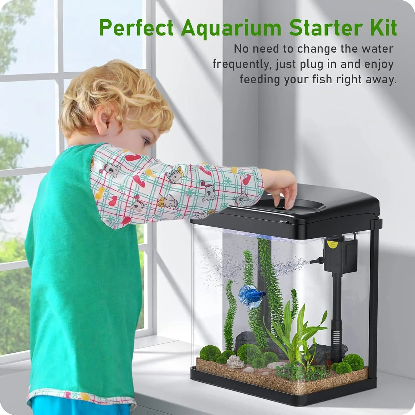 2 Gallon 3 in 1 Fish Tank with Filter and Light