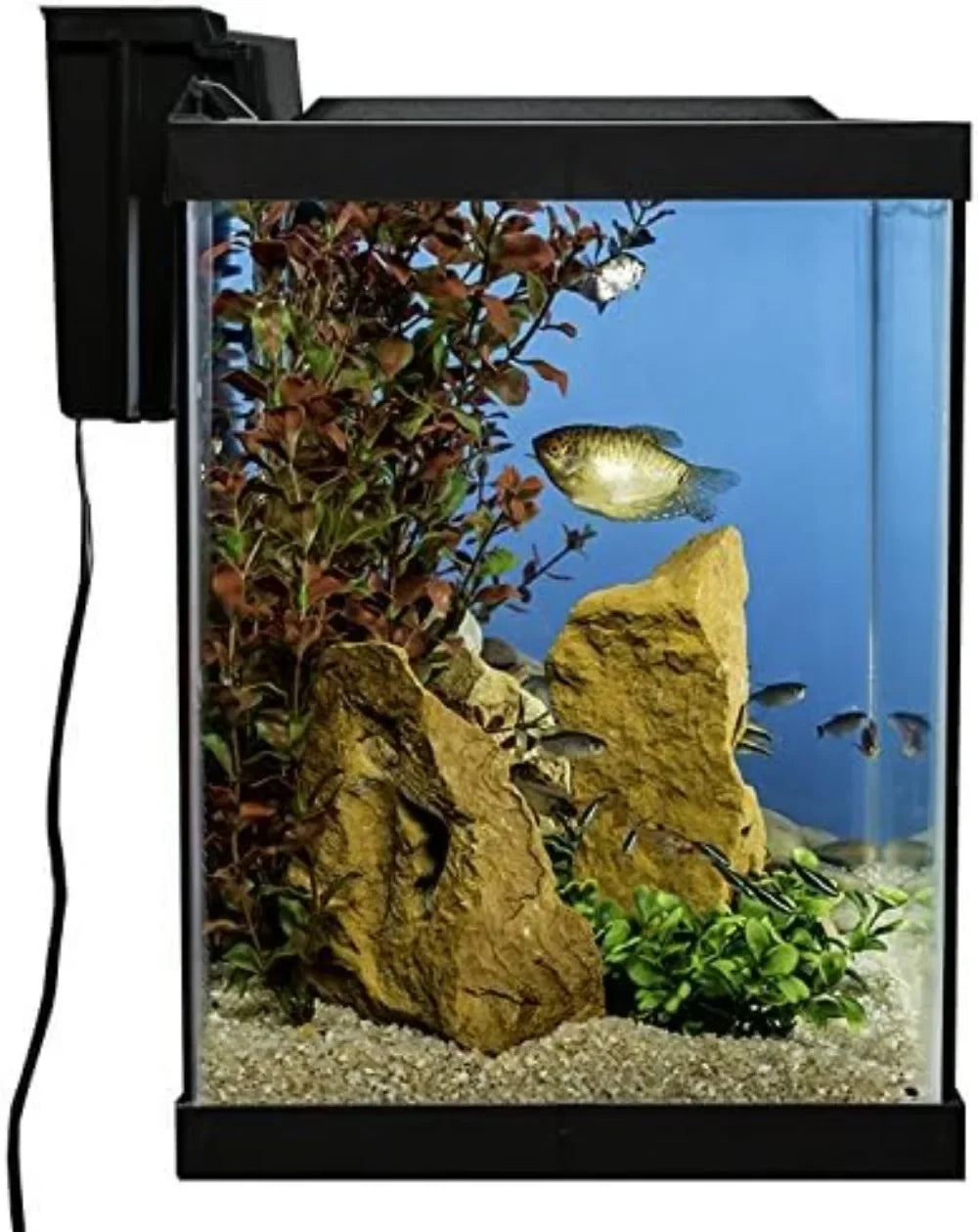 Aquarium 20 Gallon Fish Tank Kit,