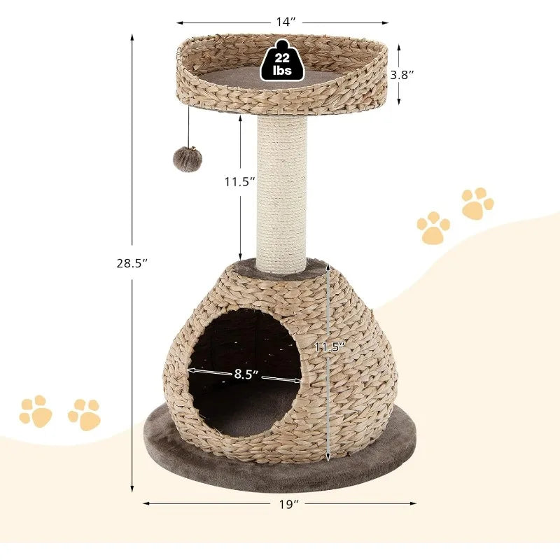 Small Cat Tree with Natural Sisal Scratching Post