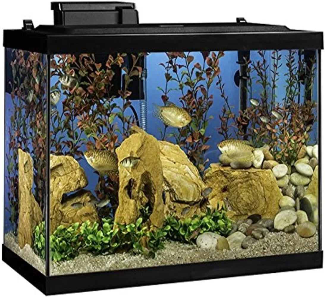 Aquarium 20 Gallon Fish Tank Kit,