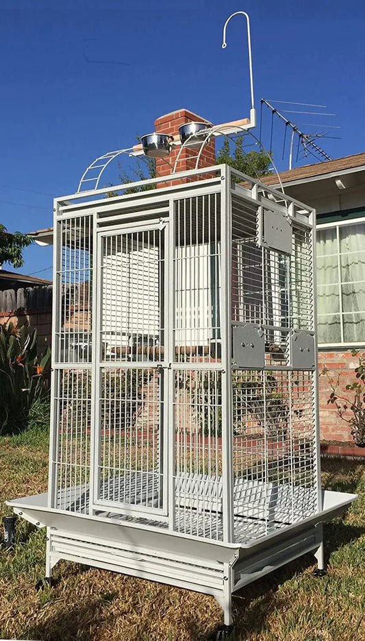 Large Double Ladders Open Play Top Wrought Iron Cage