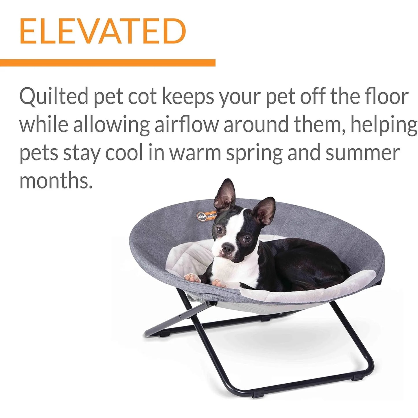 Elevated Pet Bed, Dish Chair for Dogs and Cats