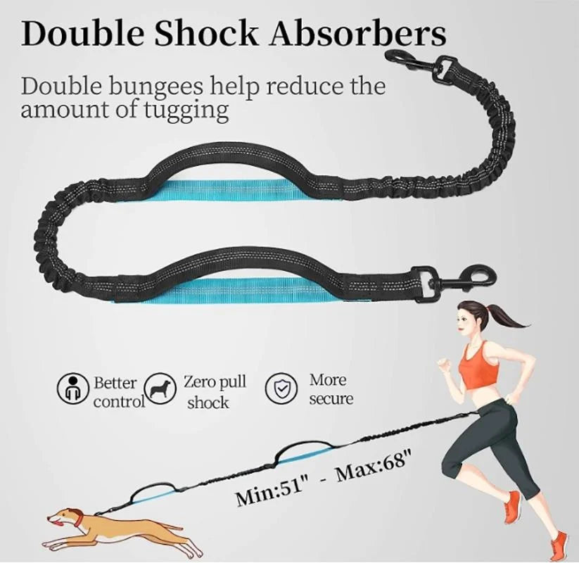 Hands-free leash with zipper pocket, anti-tangle