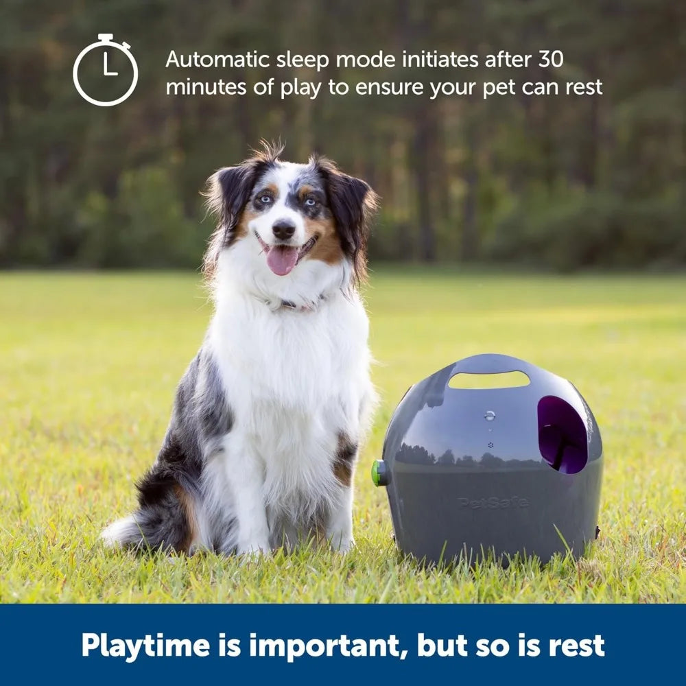 Automatic Ball Launcher, Interactive Dog Toy