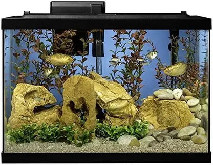 Aquarium 20 Gallon Fish Tank Kit