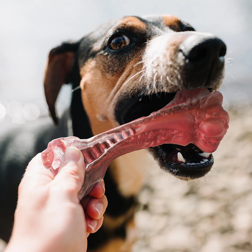 Aggressive Chewers Indestructible Dog Toy