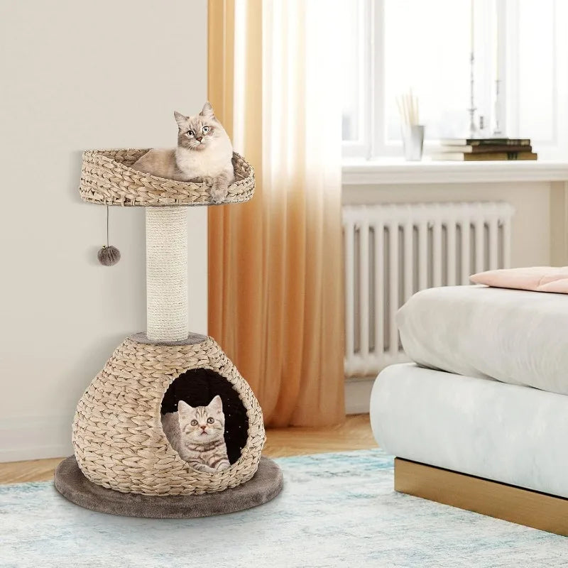 Small Cat Tree with Natural Sisal Scratching Post