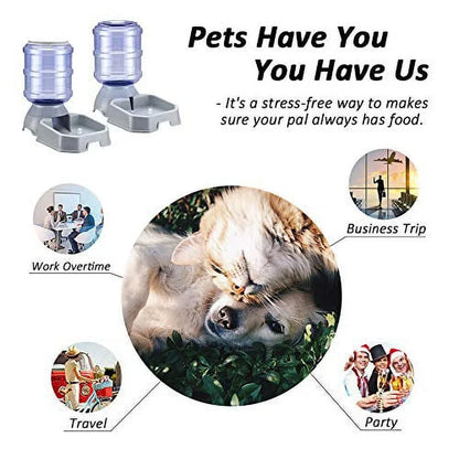 Pet Feeder and Water Food Dispenser