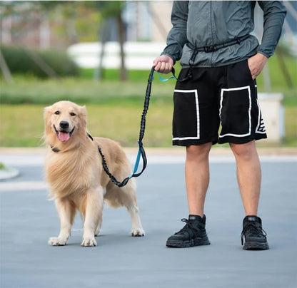 Hands-free leash with zipper pocket, anti-tangle