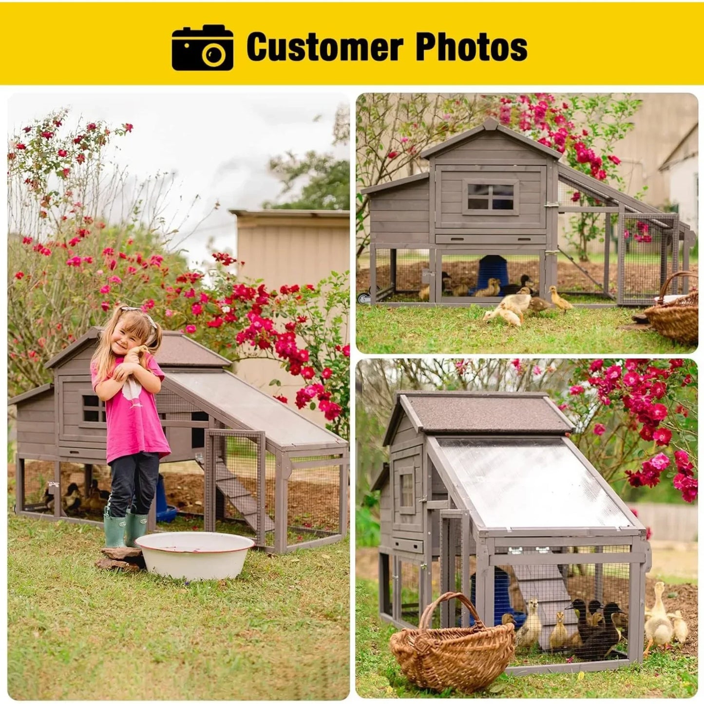 Large Outdoor Wooden Chicken Coop