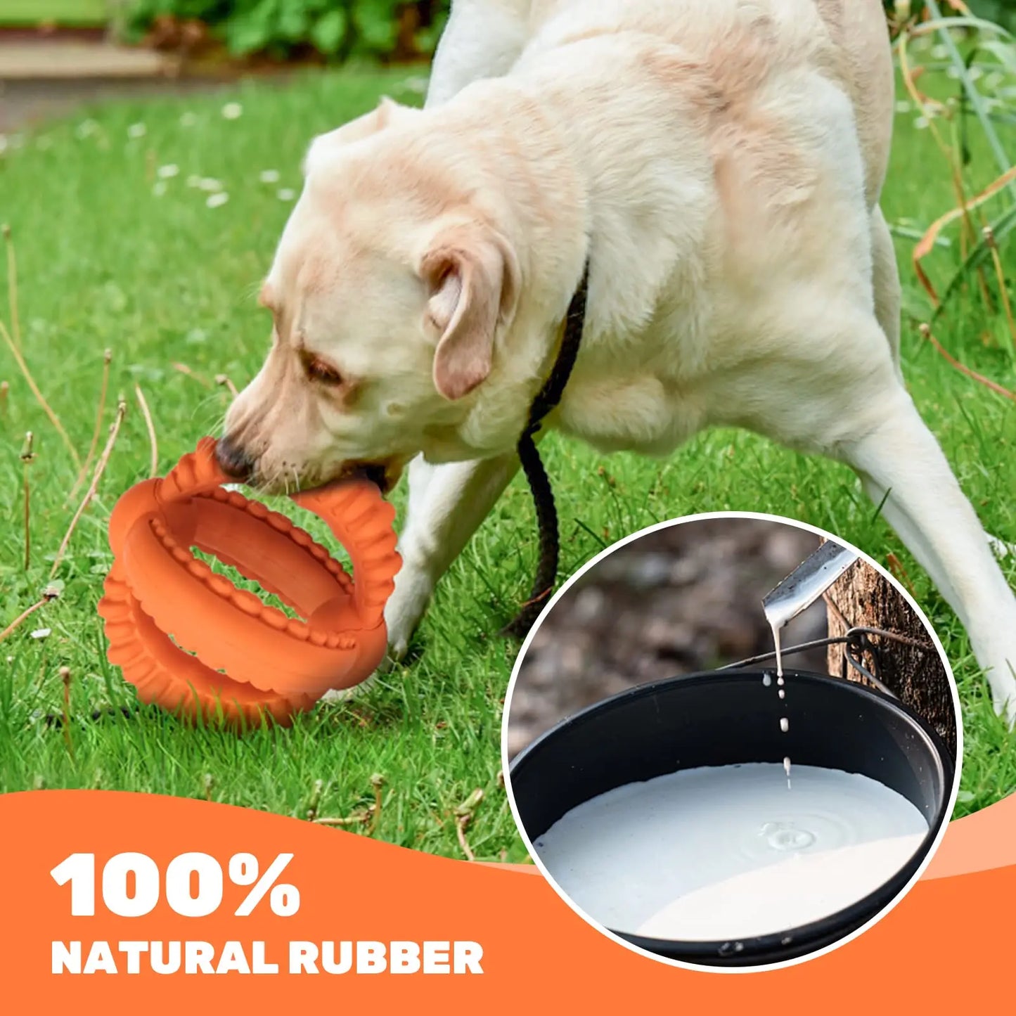 2 Rings Natural Rubber Chew Toy for Large Dogs