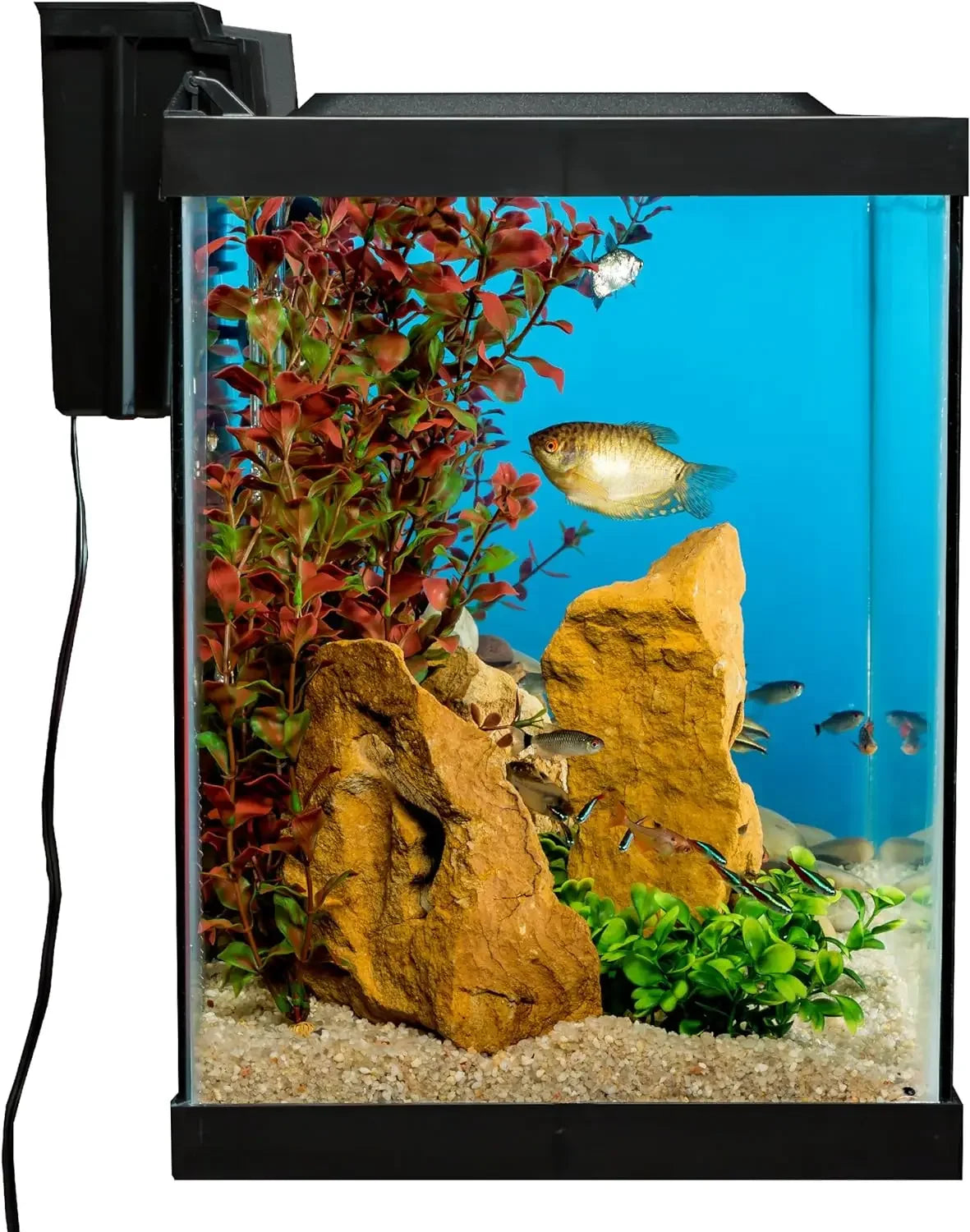 Aquarium 20 Gallon Fish Tank Kit