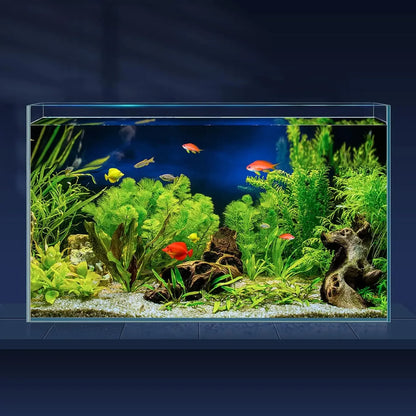 10 Gallon Ultra Clear Glass Fish Tank