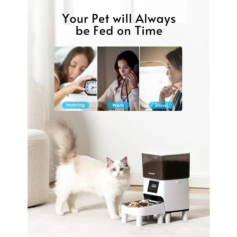 Elevated Automatic Dry Food Dispenser for Cats/ Dogs