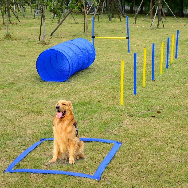 Dog Agility Starter Kit Outdoor Exercise Training Set