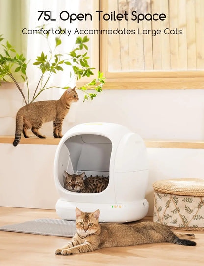 75L Extra Large Open Automatic Litter Box