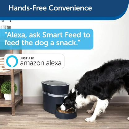 Smart Feed Automatic Dog and Cat Feeder