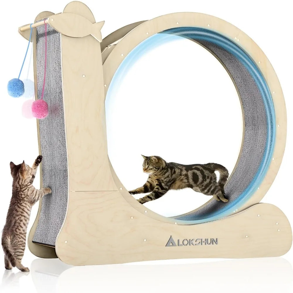 Cat Exerciser Running Wheel for Health