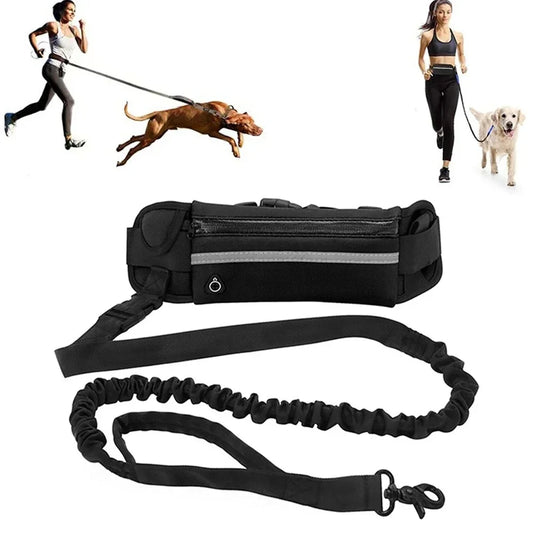 Hands Free Leash for Running Walking