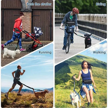 Hands Free Leash for Running Walking