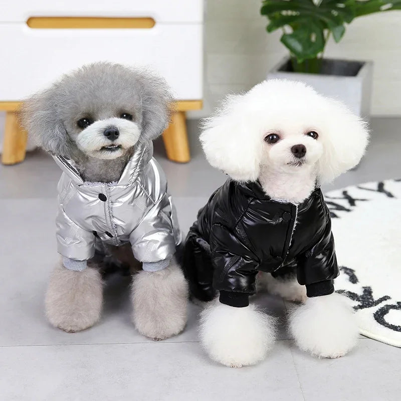 Waterproof Dog Winter Jacket Windproof Outdoor Lightweight