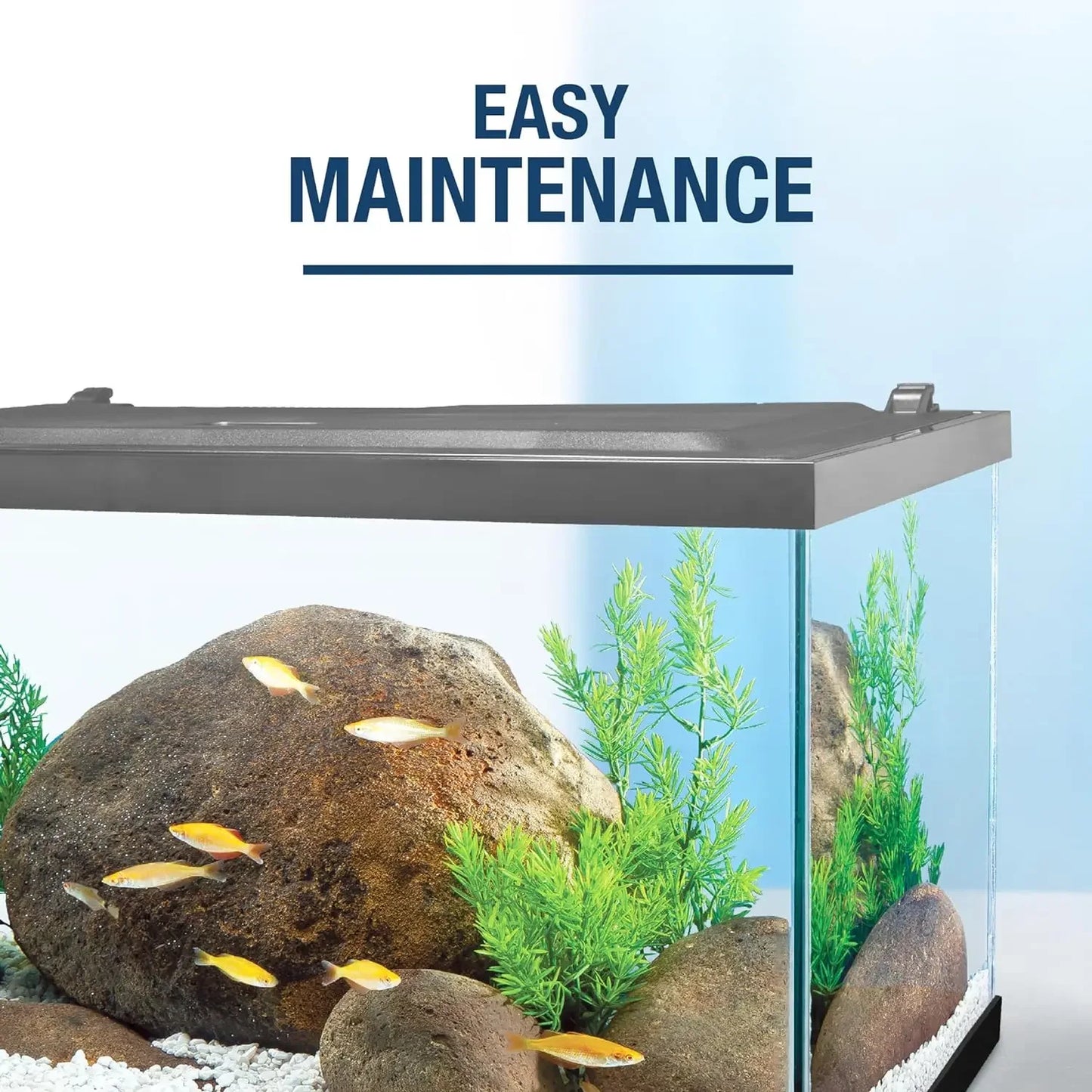 Aquarium 20 Gallon Fish Tank Kit