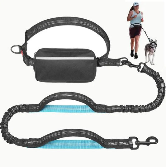 Hands-free leash with zipper pocket, anti-tangle