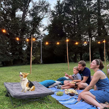 Outdoor/ Indoor Bed - Portable, Elevated Dog Cot